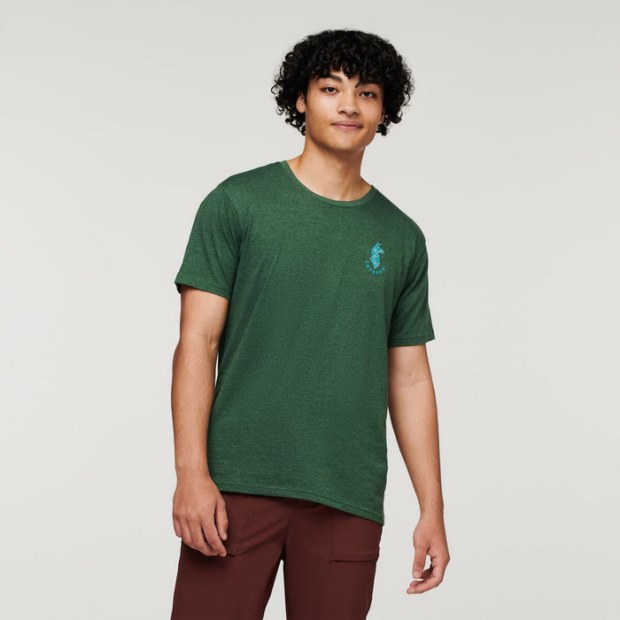 Fashion Forest Llama Lover Organic T-Shirt Men Cotopaxi