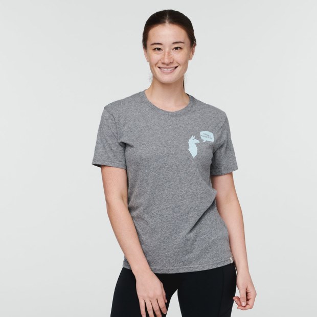 Have a Good Day T-Shirt Women Cotopaxi Heather Grey Collections